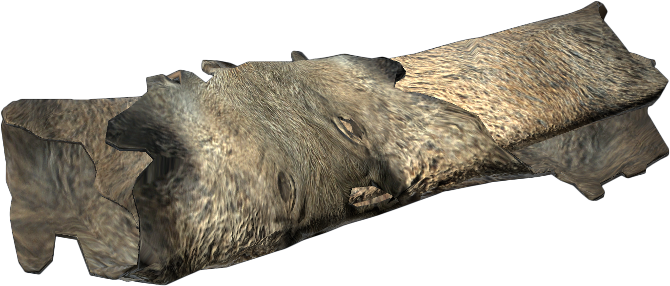 Boar Pelt.png